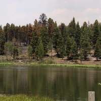 Despite devastation, Cottonwood Fire leaves behind 'islands of hope' on Beaver Mountain