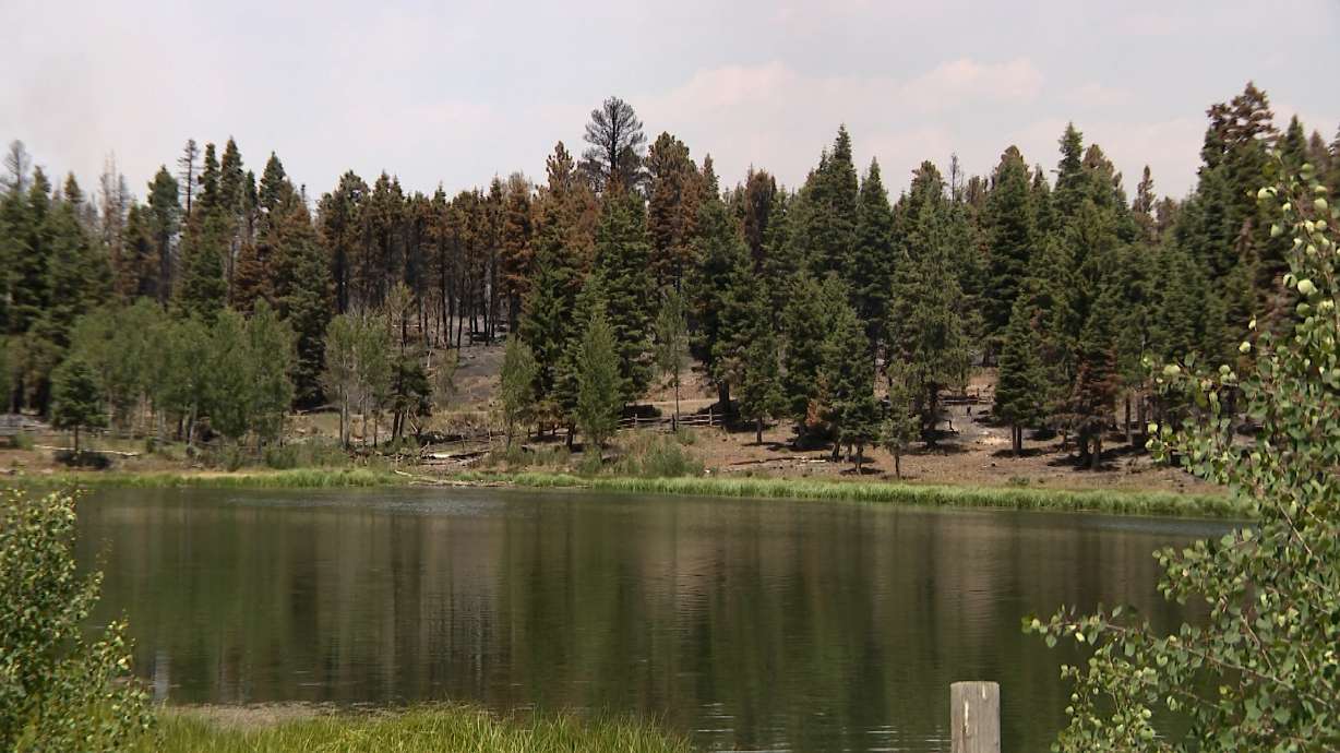 Beaver Mountain is pictured on Wednesday. The destruction from the Cottonwood Fire is overwhelming, but scattered among the burned forest are pockets of green, places where campgrounds, cabins and trees survived.