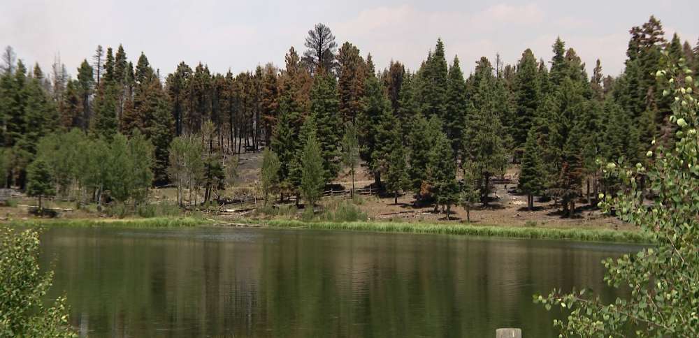 Despite devastation, Cottonwood Fire leaves behind 'islands of hope' on Beaver Mountain