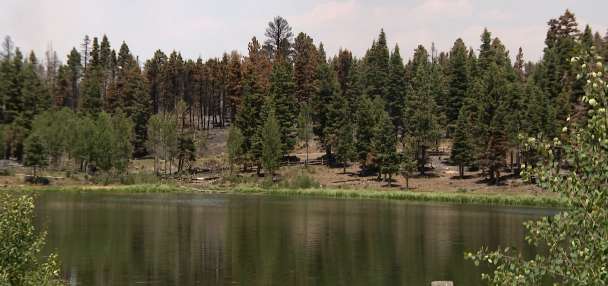Despite devastation, Cottonwood Fire leaves behind 'islands of hope' on Beaver Mountain