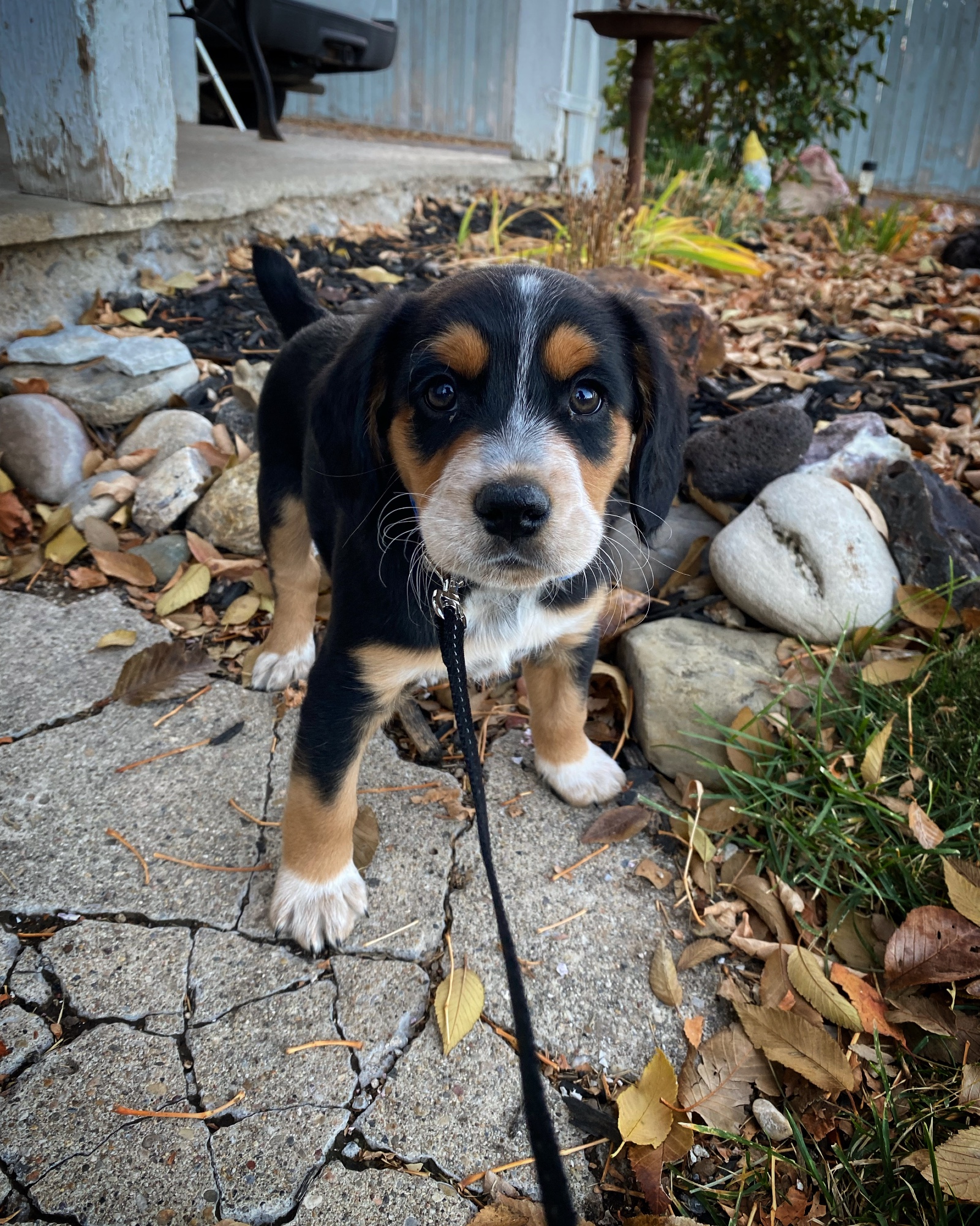 As You See It photo