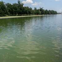 Former Olympian indicted on felony charge in what Trump called Reflecting Pool vandalism