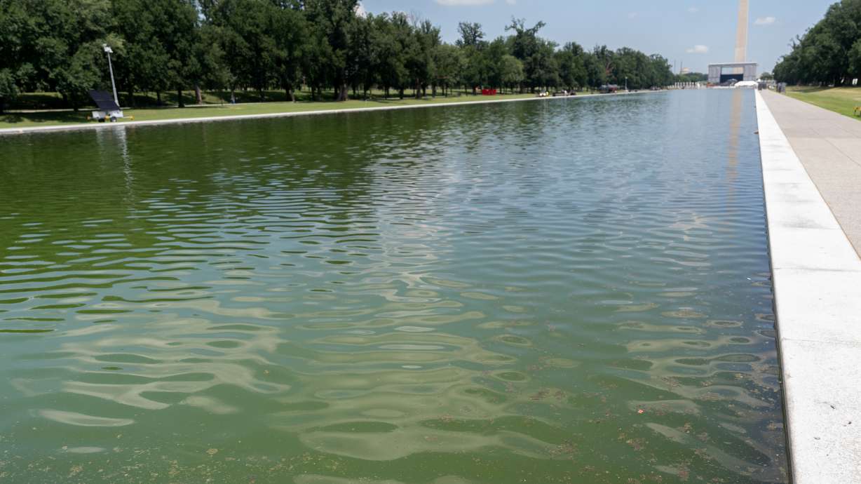 The Lincoln Memorial Reflecting Pool, Monday in Washington. A former Olympian was indicted Thursday on a felony charge in what President Donald Trump has called vandalism of the Reflecting Pool.