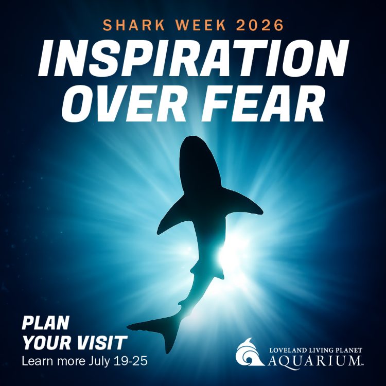Shark Week