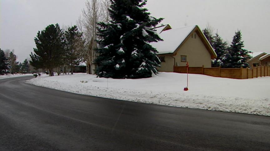 Cougar moves into Park City neighborhood