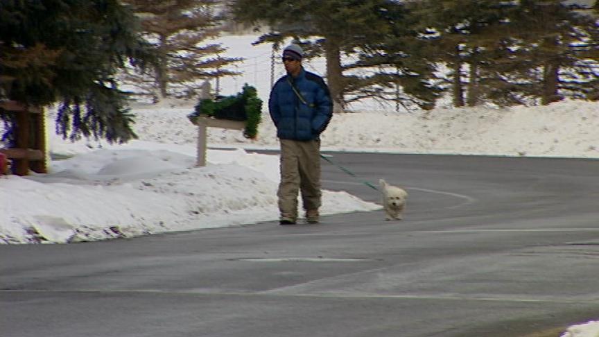 Cougar moves into Park City neighborhood