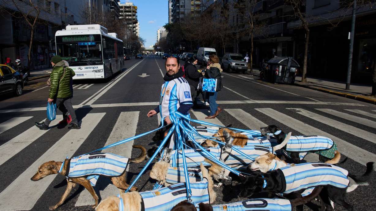 Dog walker Nahuel Meneghini walks dogs dressed in jerseys of the Argentine national soccer team in Buenos Aires, Argentina, Thursday, July 2, 2026.
