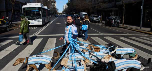 Puppy love as dog walker turns his pack of 13 into Argentina jersey-clad World Cup followers