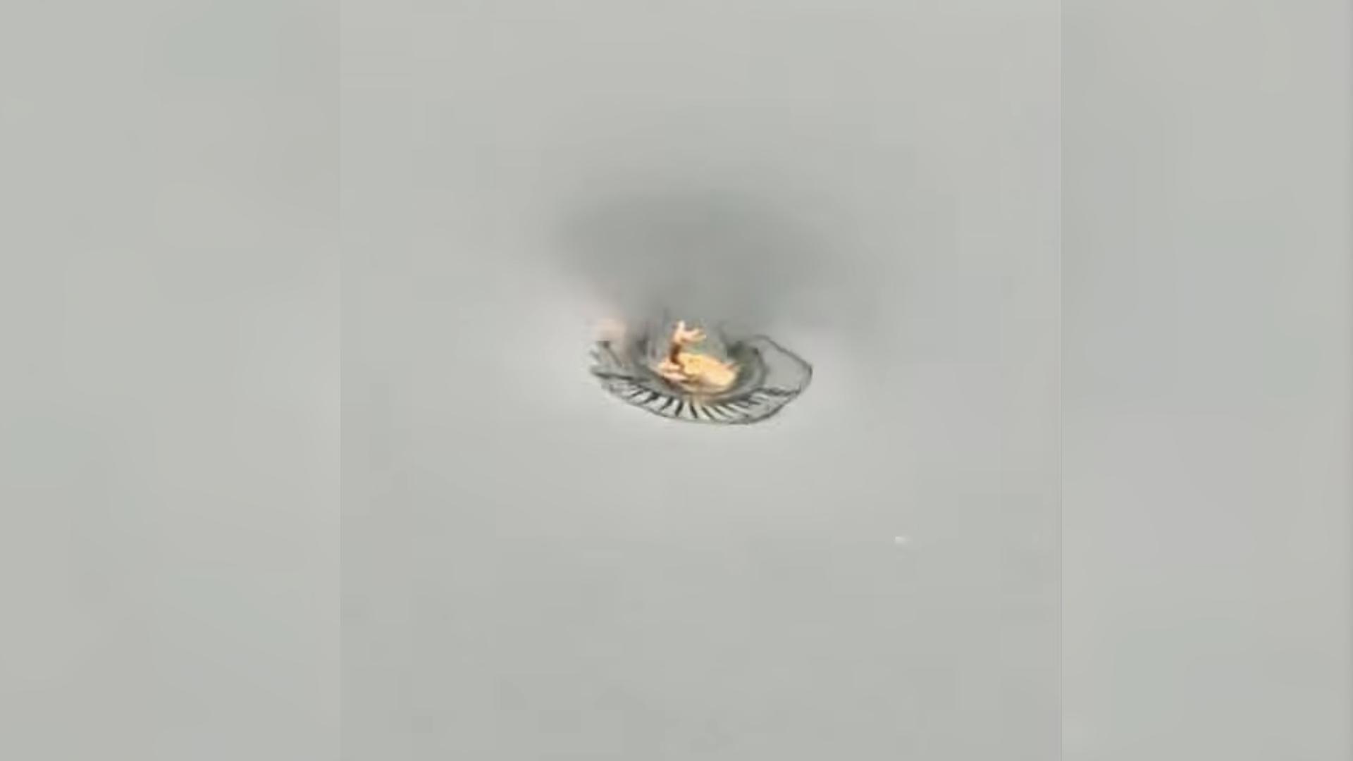 Have You Seen This? Toad goes for a spin