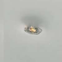 Have You Seen This? Toad goes for a spin