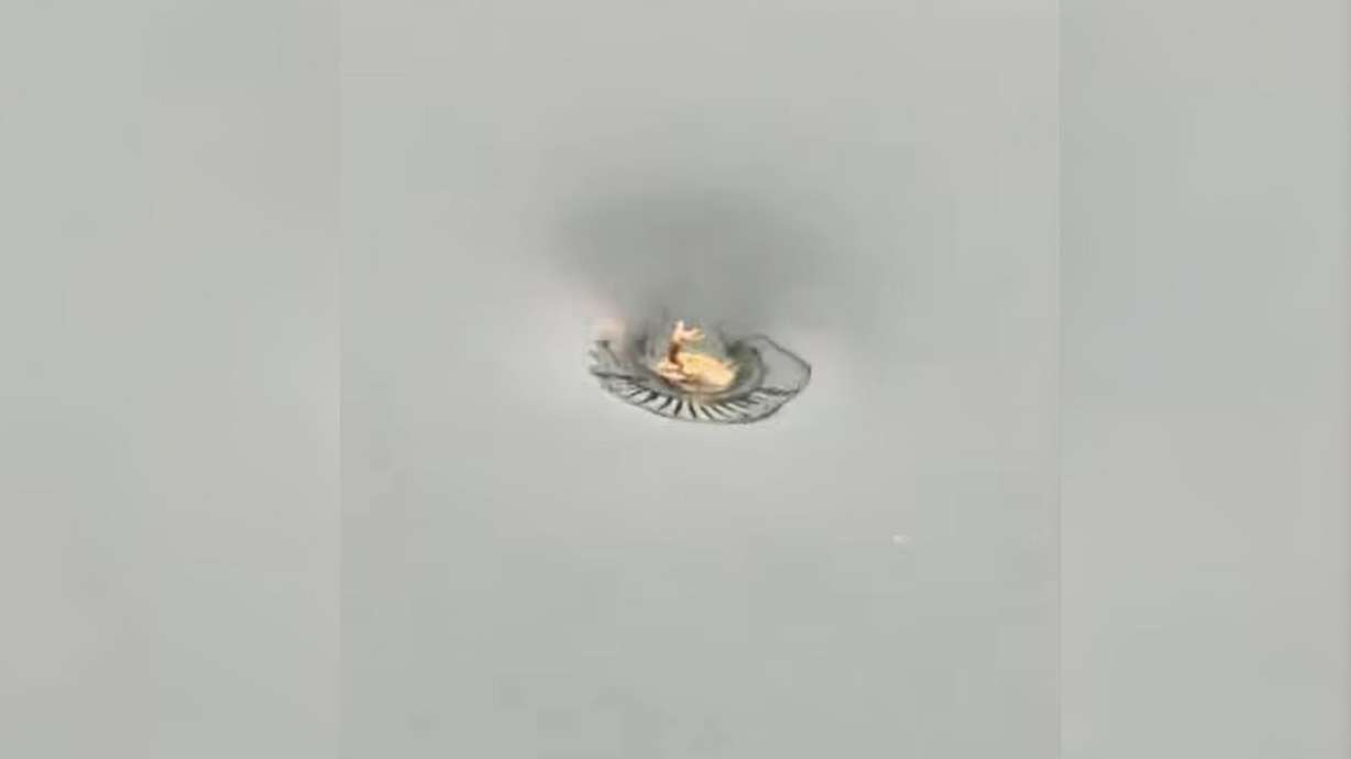 A toad spinning in circles inside a pool as the water formed a whirlpool around it in Jiangsu, China, May 14.