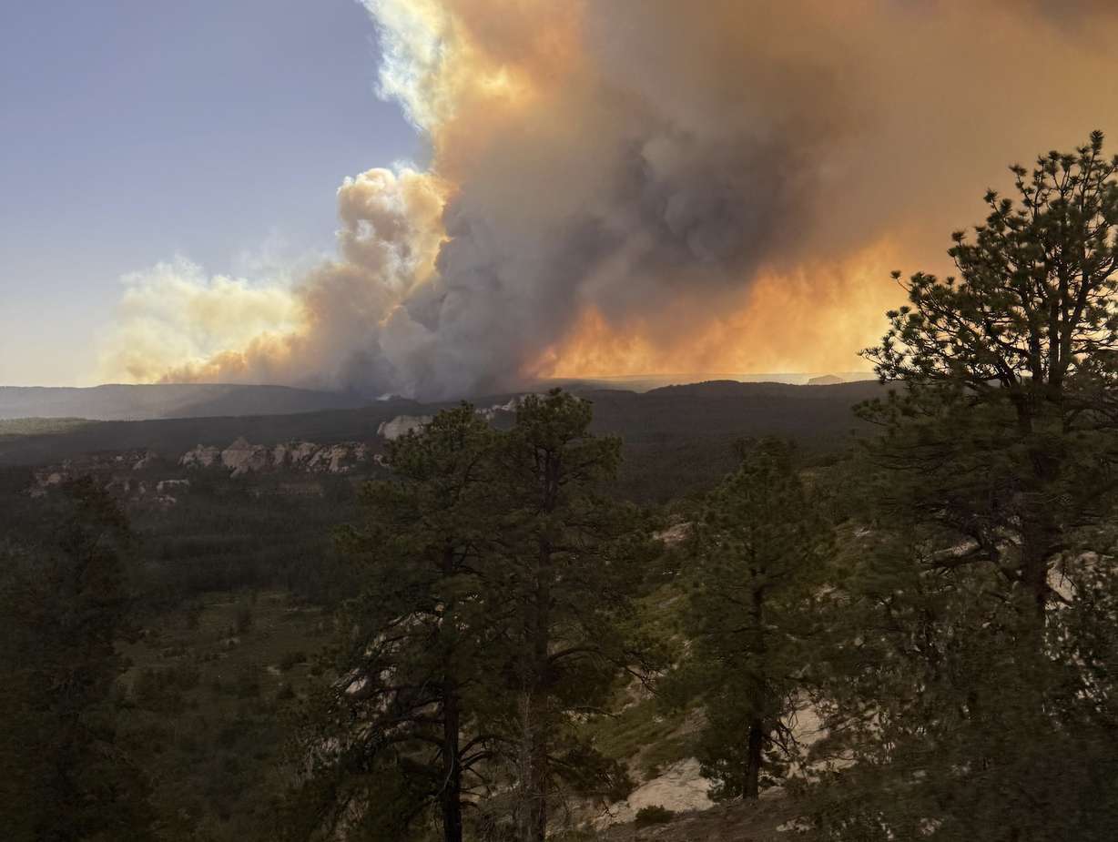 The Babylon Fire burns in San Juan County in July. The fire burned over 86,000 acres of forest and woodland space, the most of any Utah fire over the past 40 years, Utah researchers say.