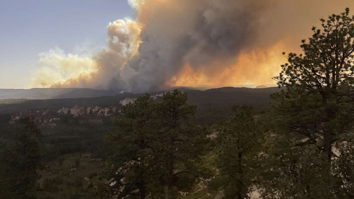 The Babylon Fire burns in San Juan County in June. The Utah Division of Forestry, Fire and State Lands estimates the total cost of fighting wildfires in the state this year will be $300 million.