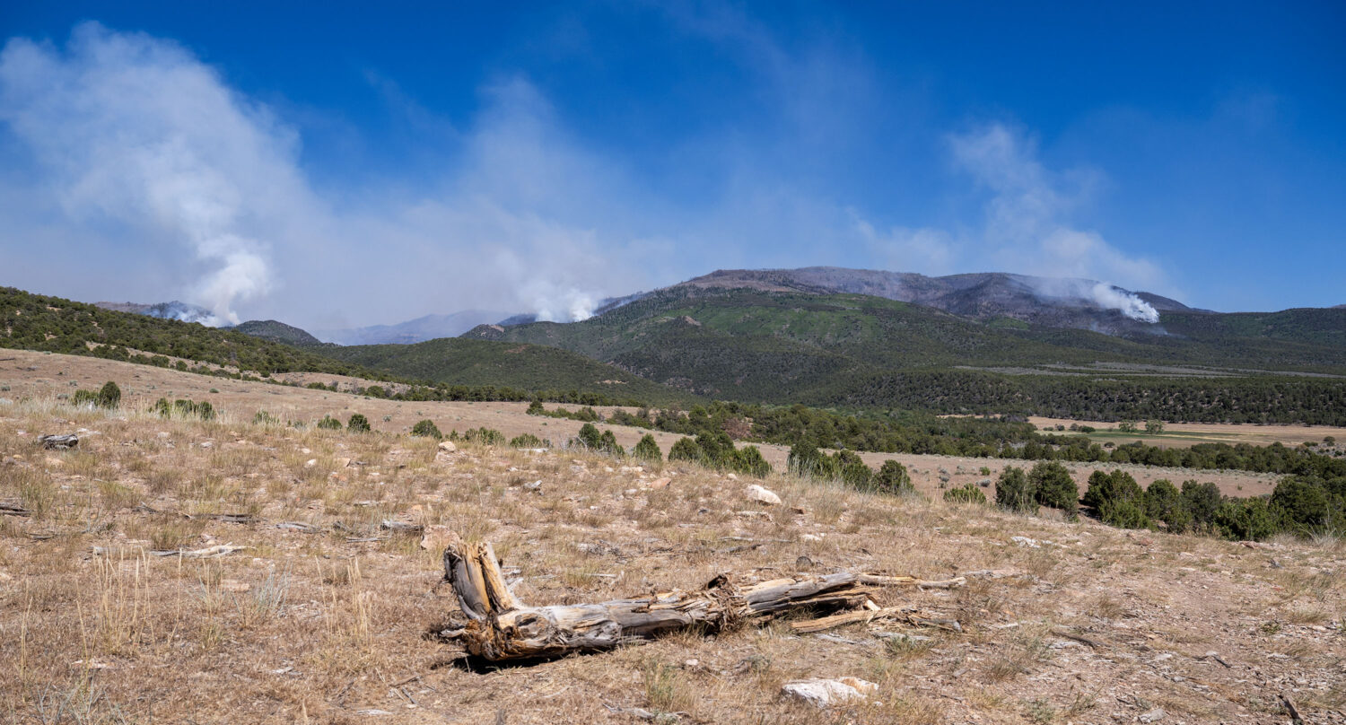 The Cottonwood Fire, burning on the mountains east of Beaver, continues on Monday, June 29.