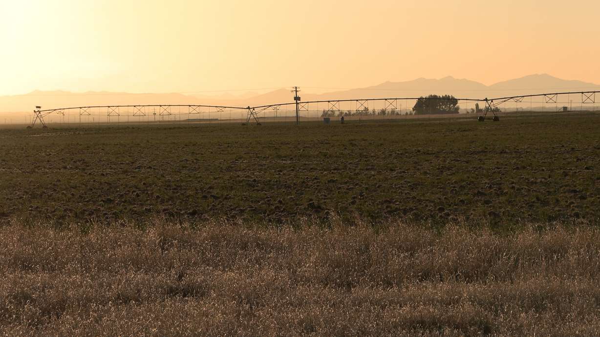 The future site of a data center project, known as "Joule," near Holden is pictured.