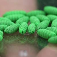 What to know about protecting pets from the New World screwworm fly