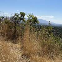 Rescuers urge caution with northern Utah temperatures set to soar