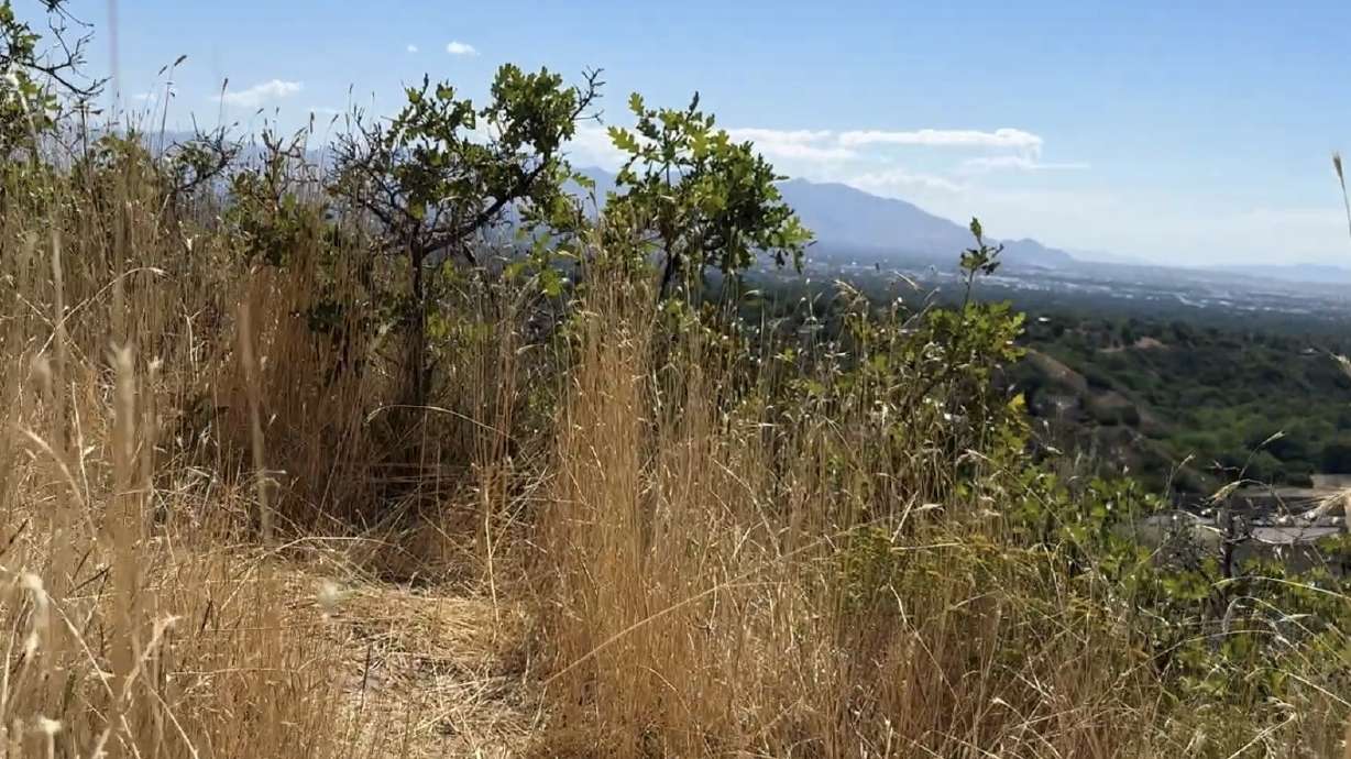 View from the west face of the Grandeur Peak Trail on Tuesday. With temperatures expected to approach 105 degrees by Sunday, rescuers called for preparation and common sense.