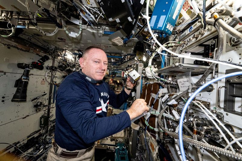 NASA astronaut Barry "Butch" Wilmore prepares to insert a bio-ink cartridge into Auxilium Biotechnologies' AMP-1 orbital 3D bioprinter on the International Space Station, in this undated handout image. 