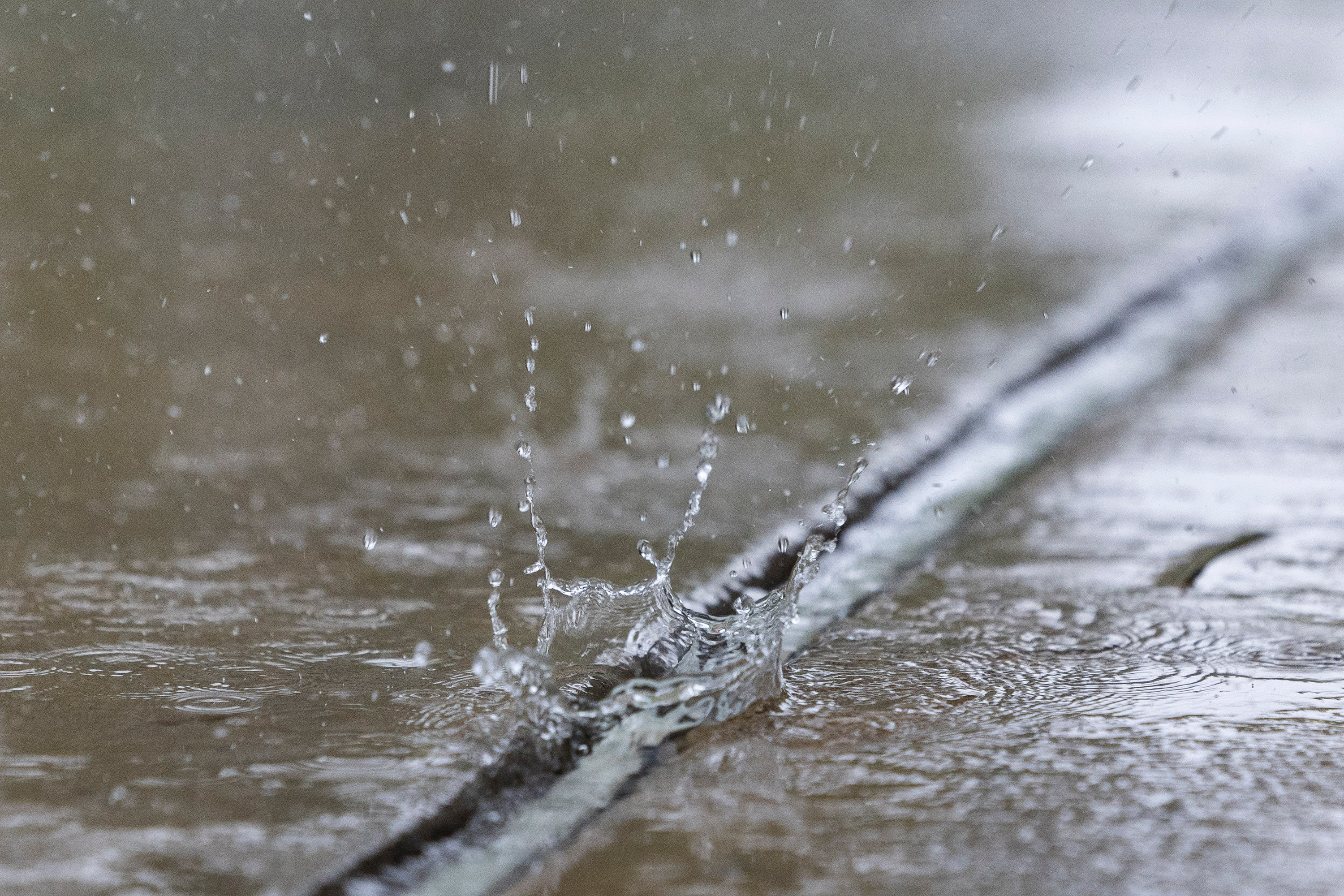 Extreme heat is forecast for Utah this weekend, but is monsoon relief on the other side of it? 