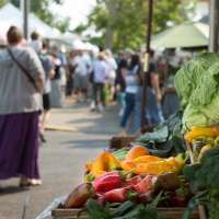 Utah's summer hotspots: 10 family-friendly activities you won't want to miss