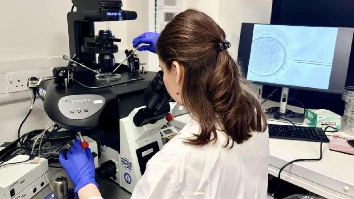 Katarina Harasimov performing base editing in the Niakan laboratory at the Loke Centre for Trophoblast Research at the University of Cambridge.