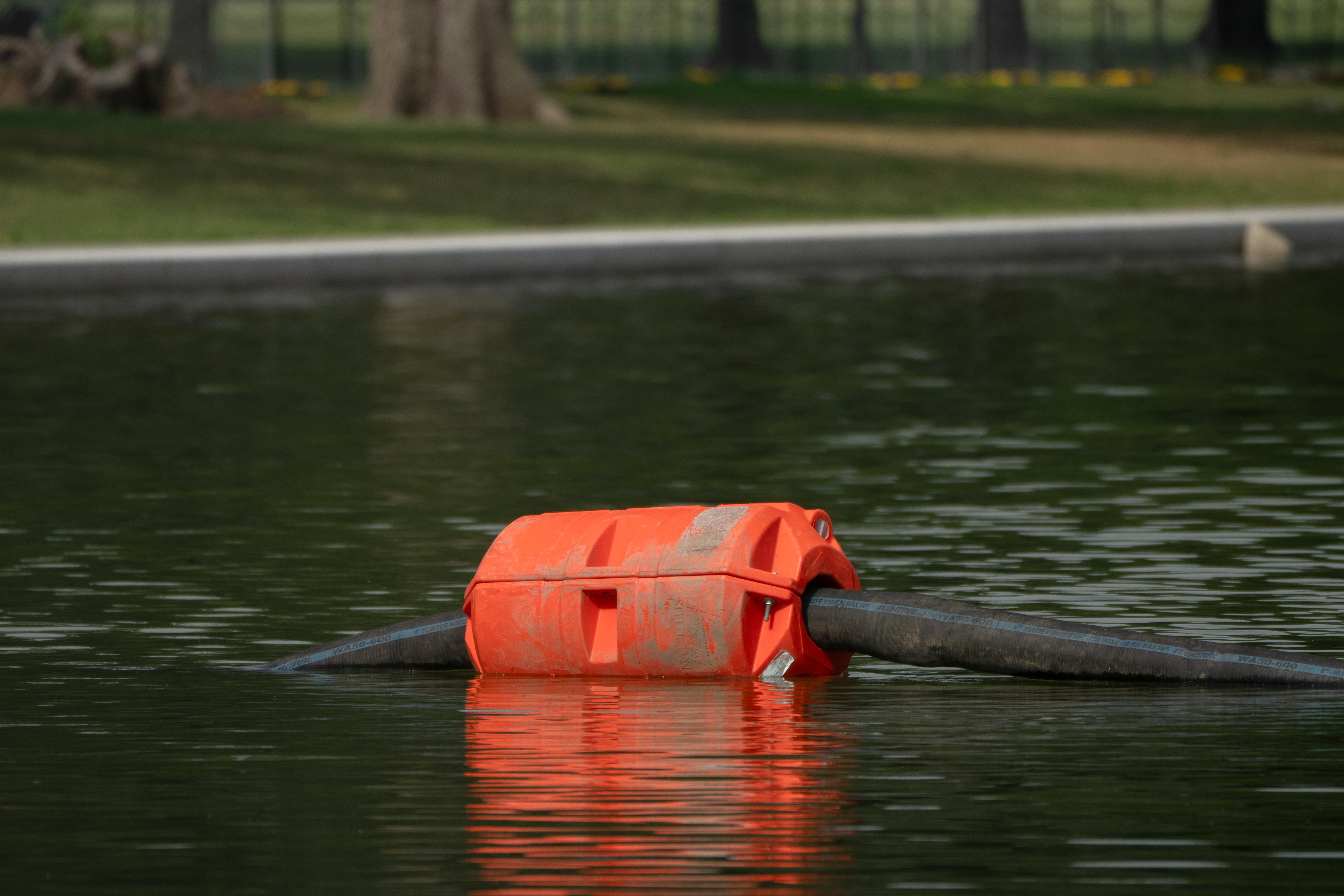 A length of hose supported by a float is pictured in the Lincoln Memorial Reflecting Pool, Friday, in Washington.