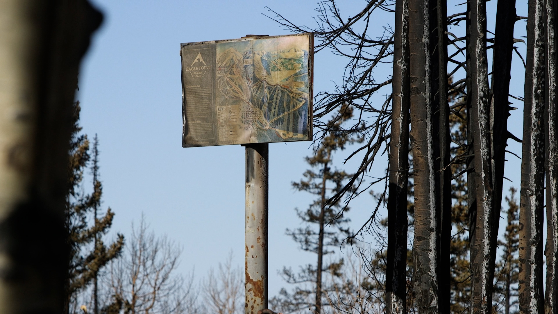 Damage from fire is shown at the Eagle Point Ski Resort. Owner Shane Gadbaw said the Cottonwood Fire changed the mountain forever.