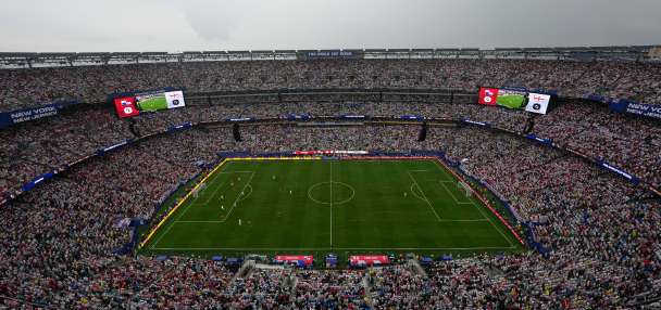 FIFA selling the field to be used for the World Cup final in $450 pieces