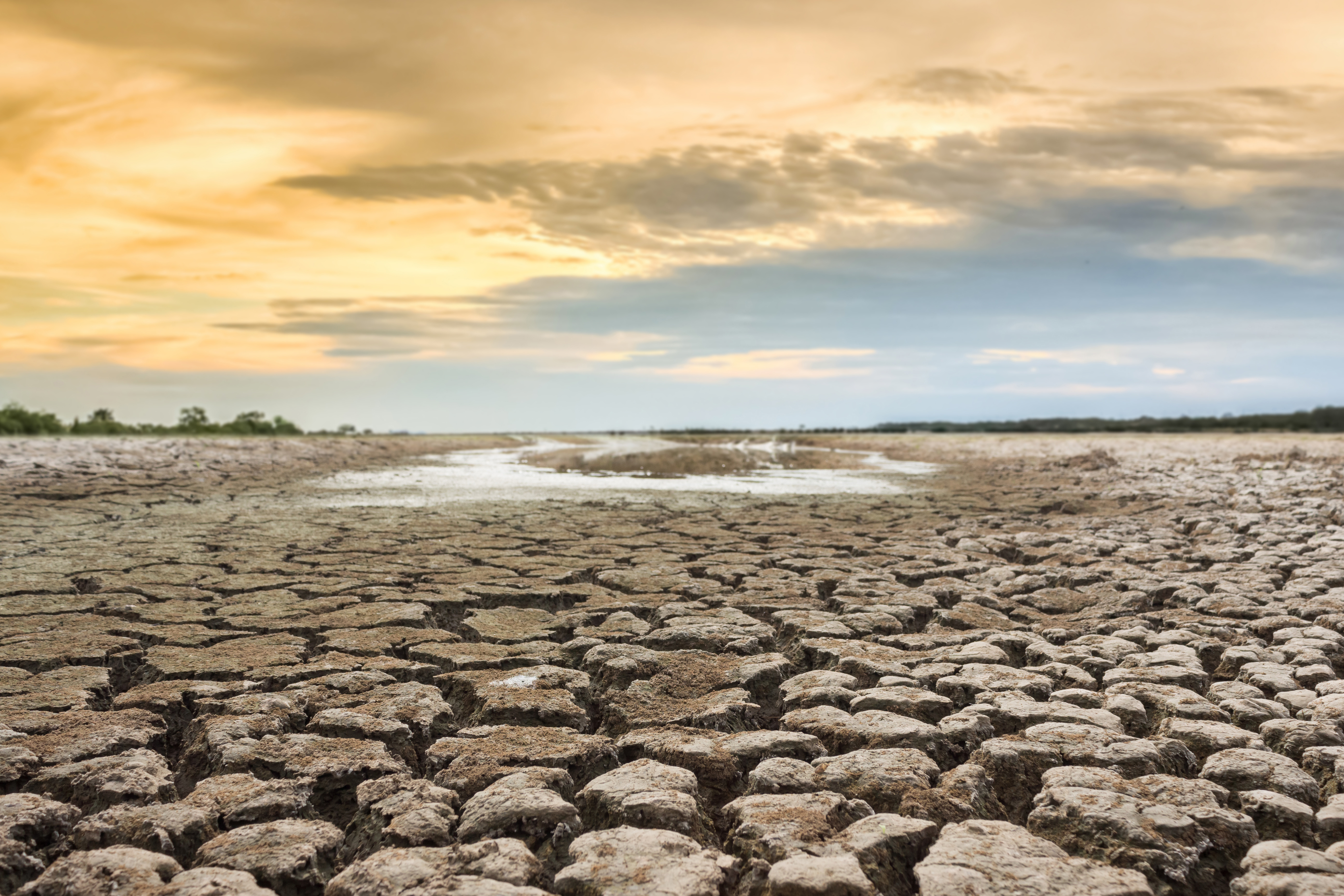 9 ways global warming is impacting Utah right now