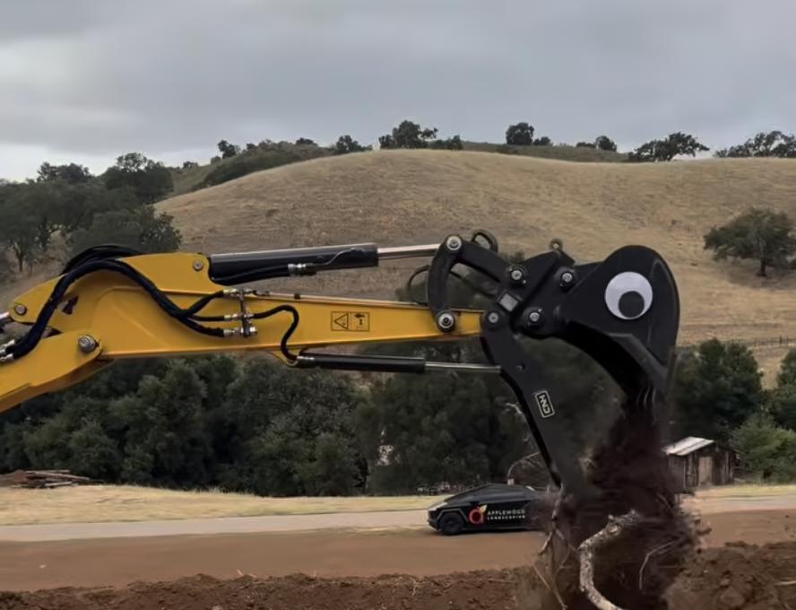 Have You Seen This? Googly eyes can make anything better, even construction