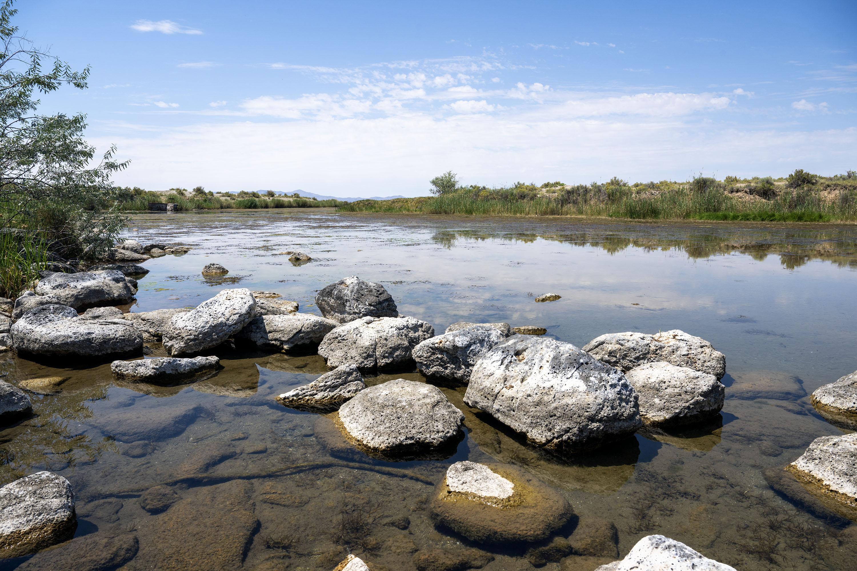 A pond in Locomotive Springs Wildlife Management Area near the Great Salt Lake is pictured Monday. The site was a stopping point on a tour of the area on Monday led by opponents of the proposed Box Elder County data center proposal.