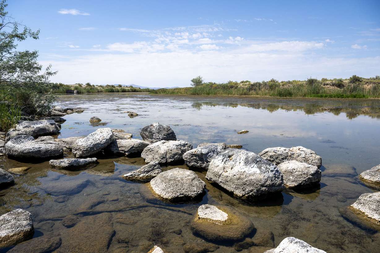A pond in Locomotive Springs Wildlife Management Area near the Great Salt Lake is pictured Monday. The site was a stopping point on a tour of the area on Monday led by opponents of the proposed Box Elder County data center proposal.