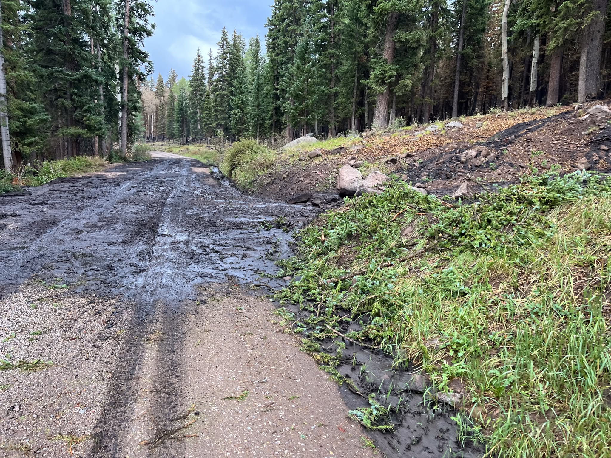 Monsoon season has arrived in Utah, bringing much-needed rain and new threats 