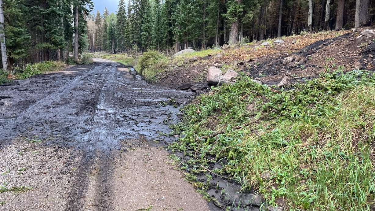 A small debris flow is seen on Monday on a road near where the Cottonwood Fire has burned in Beaver County. Monsoonal rains in the area helped moderate fire behavior but have sparked new flooding concerns this week.