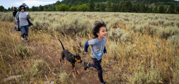 Tribal leaders say they weren't consulted before Trump order shrunk 2 Utah national monuments