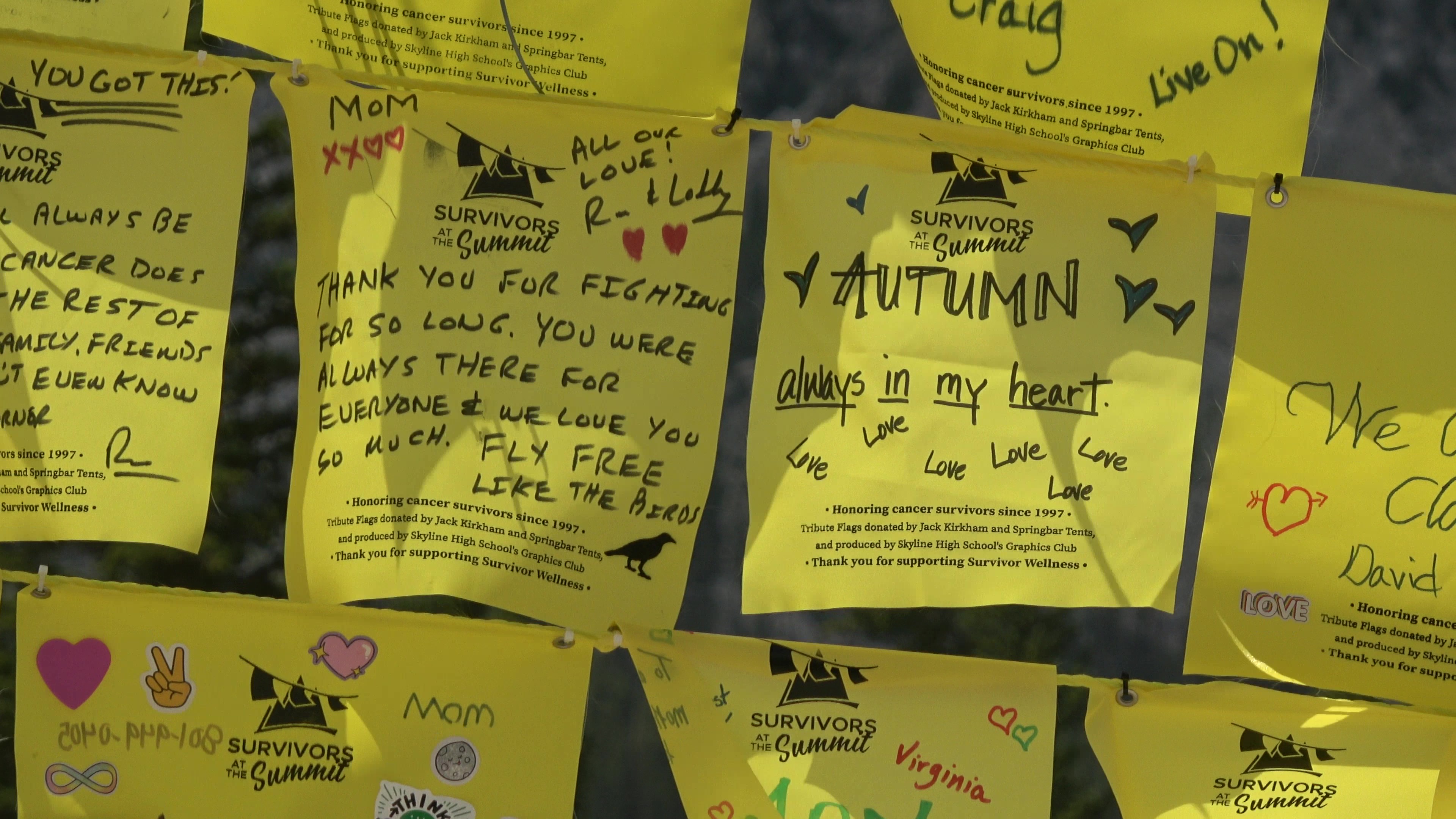 Yellow tribute flags are hung up in honor of cancer survivors at the 2026 Survivors at the Summit at Brighton Resort on Sunday.