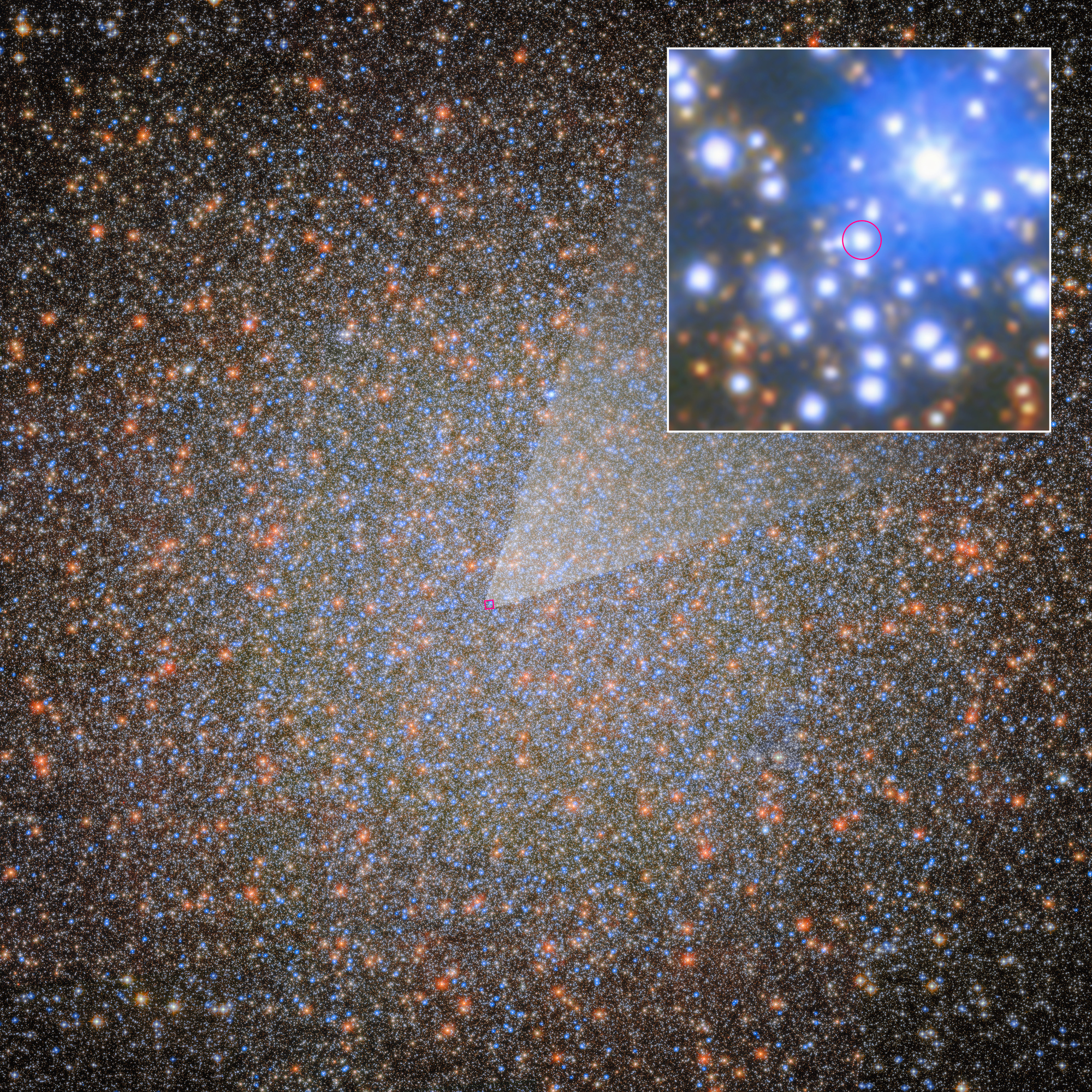 University of Utah astronomers found Omega Centauri’s first stellar-mass black hole, which has a visible star companion that is shown in greater detail. They used 20-plus years of data from NASA’s Hubble Space Telescope and recent data from NASA’s James Webb Space Telescope to make the discovery.