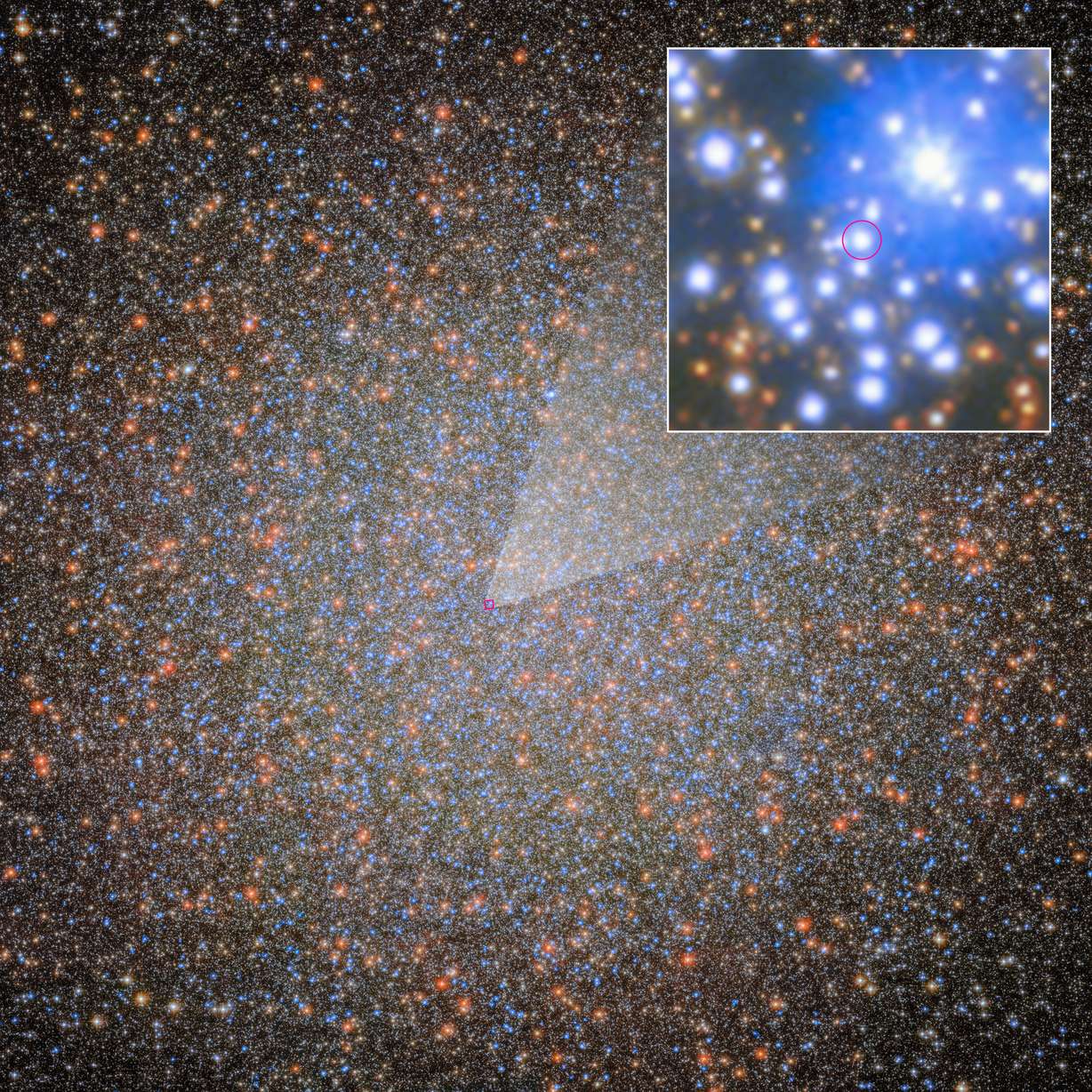 University of Utah astronomers found Omega Centauri’s first stellar-mass black hole, which has a visible star companion that is shown in greater detail. They used 20-plus years of data from NASA’s Hubble Space Telescope and recent data from NASA’s James Webb Space Telescope to make the discovery.