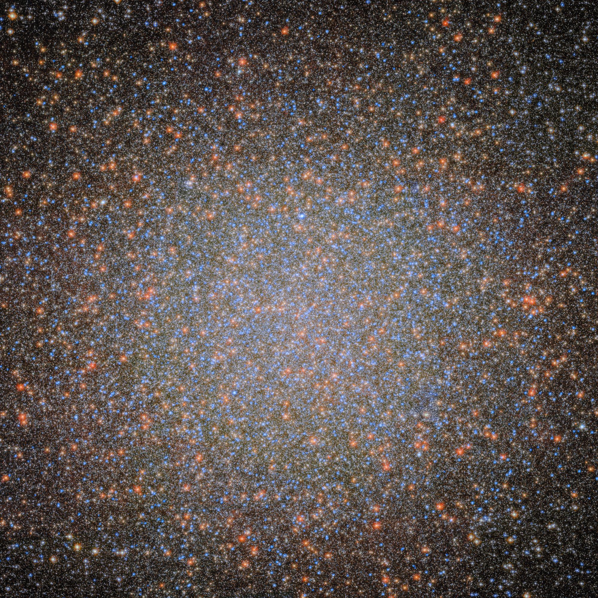 'Surprising and exciting': U. astronomers harness NASA telescopes for black hole discovery