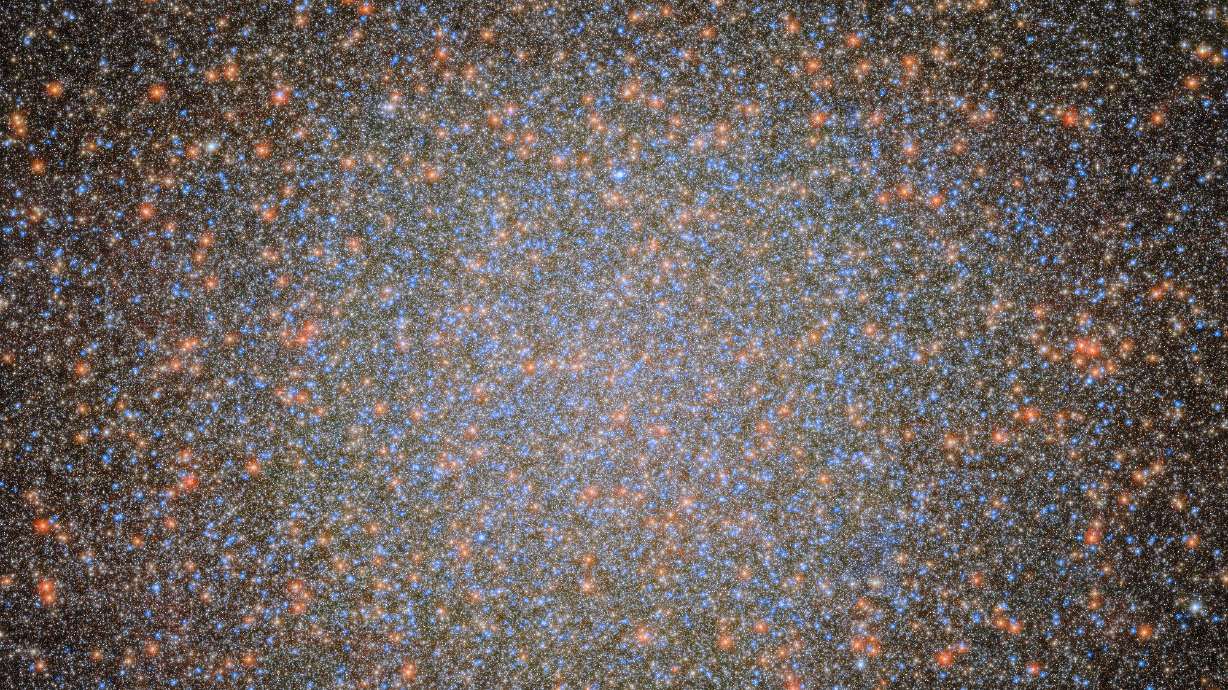 The globular star cluster Omega Centauri is pictured through NASA's Hubble Telescope. University of Utah astronomers harnessed data locate the first stellar-mass black hole in the massive globular star cluster Omega Centauri.
