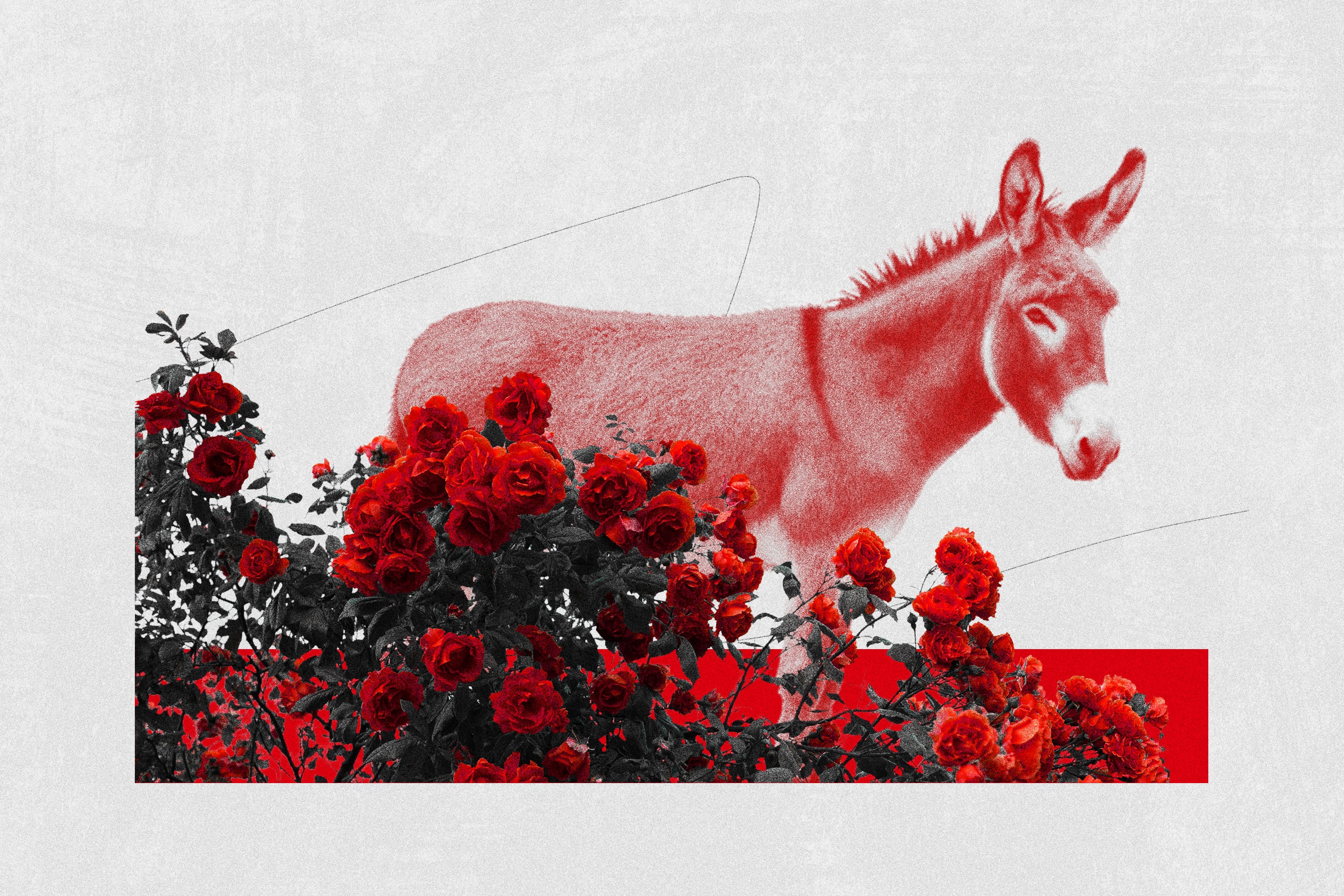 The socialists trying to reshape the Democratic Party