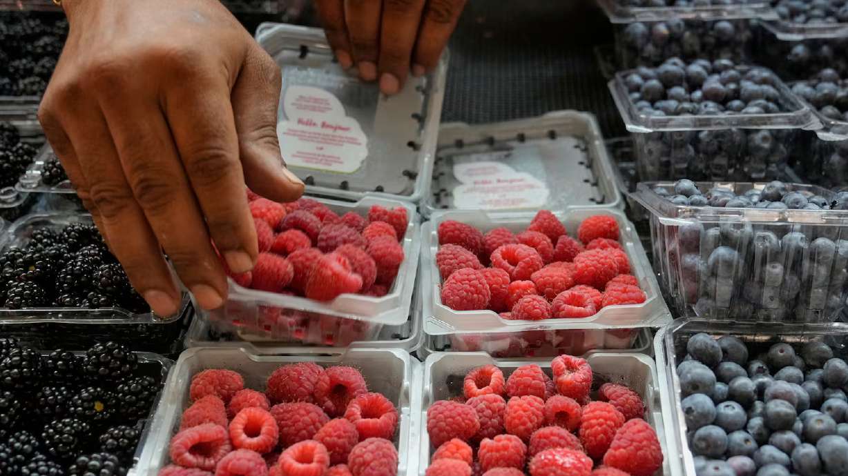 Walid Mawad arranges berries at a fruit stand in Cleveland, Ohio, July 16, 2025. Produce that has not been adequately cleaned and prepared is considered the likely source of an ongoing cyclosporiasis outbreak.