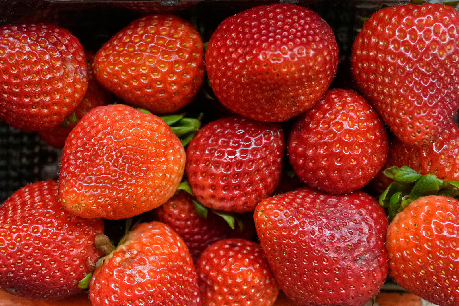 Strawberries are pictured at a fruit stand in Cleveland, Ohio, July 16, 2025. The CDC said Wednesday that no source has been confirmed for an ongoing outbreak of cyclosporiasis, though produce that has not been adequately cleaned and prepared is considered the likely source.