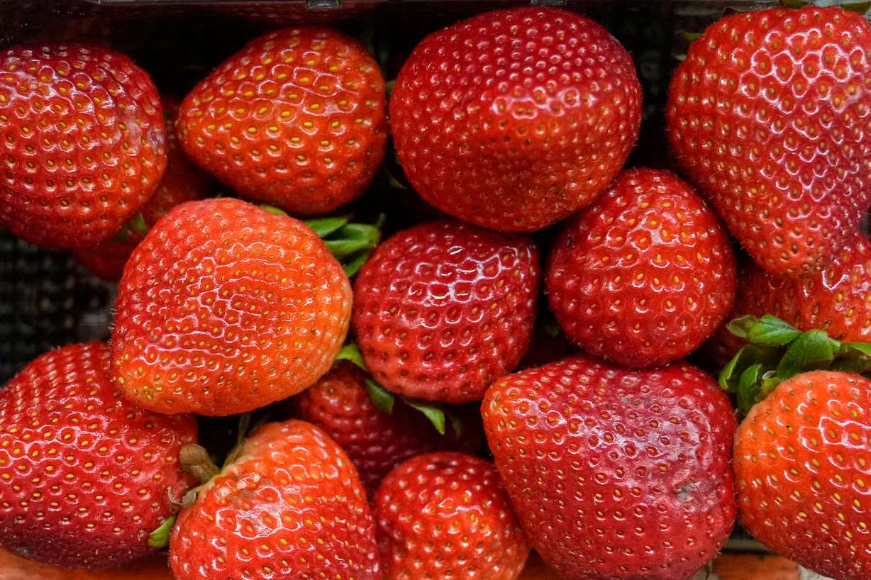 Strawberries are pictured at a fruit stand in Cleveland, Ohio, July 16, 2025. The CDC said Wednesday that no source has been confirmed for an ongoing outbreak of cyclosporiasis, though produce that has not been adequately cleaned and prepared is considered the likely source.