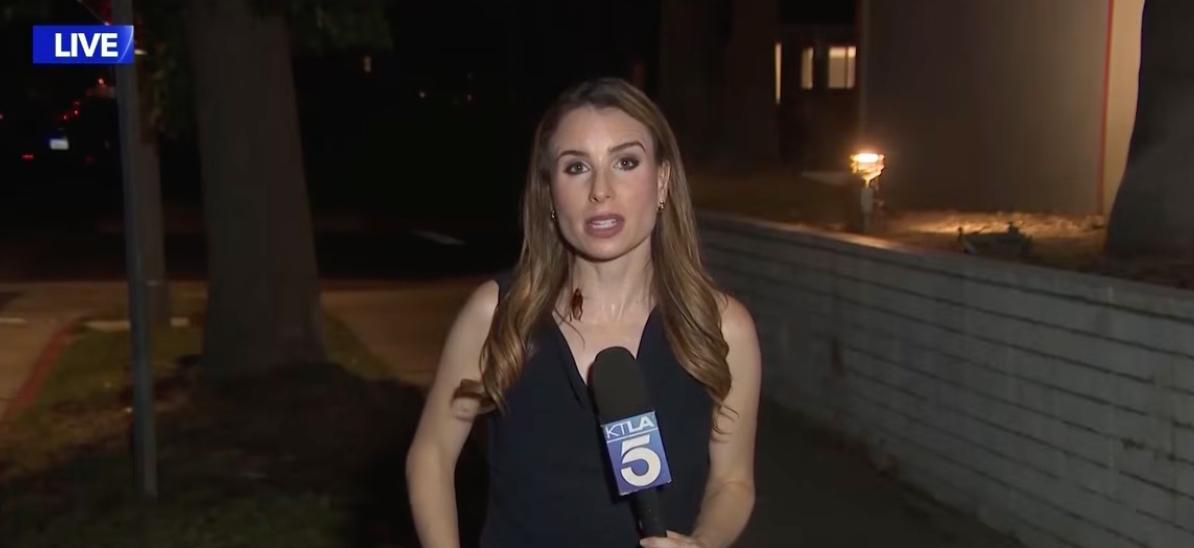 Have You Seen This? TV reporter not bugged by cockroach guest appearance 