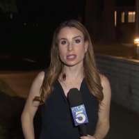 Have You Seen This? TV reporter not bugged by cockroach guest appearance