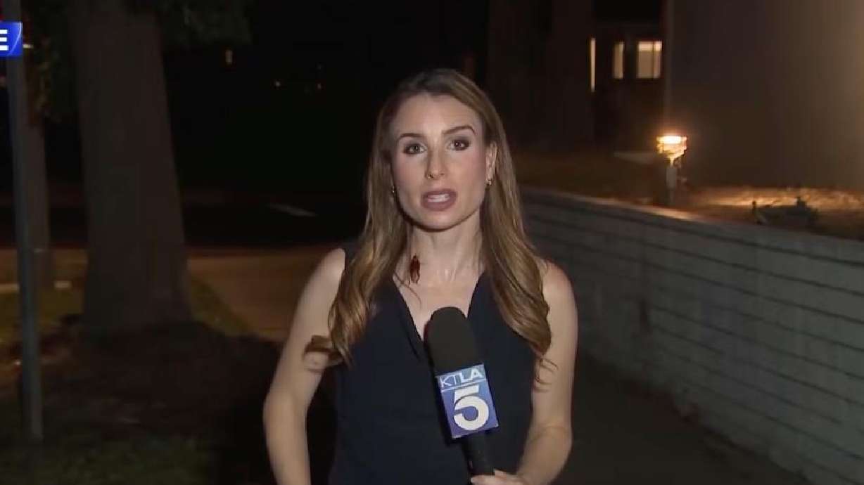 A screen grab from a live TV report shows a KTLA reporter standing completely still while a cockroach entered the shot, landing directly on her.