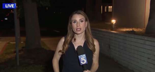Have You Seen This? TV reporter not bugged by cockroach guest appearance