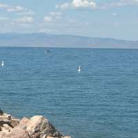 Bear Lake sheriff credits bystanders for saving woman's life in boating accident